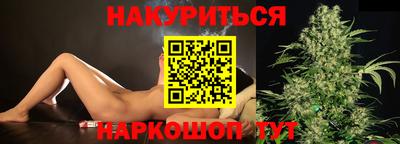 шишки Будённовск