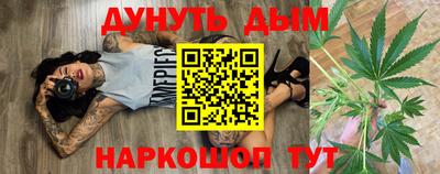 шишки Будённовск
