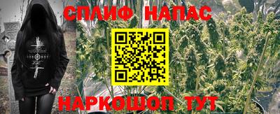 шишки Будённовск