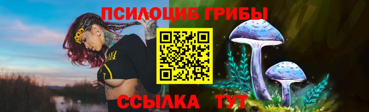 Галлюциногенные грибы мицелий Фурманов